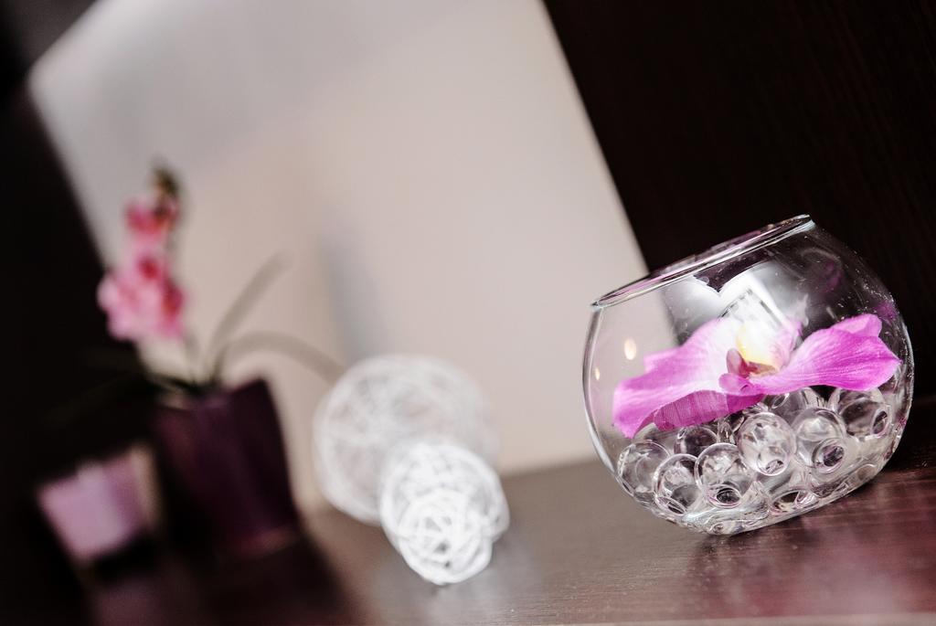 Apartment Stanic - "Home Away From Home" سبليت المظهر الخارجي الصورة